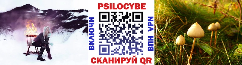 Псилоцибиновые грибы Cubensis  Называевск 